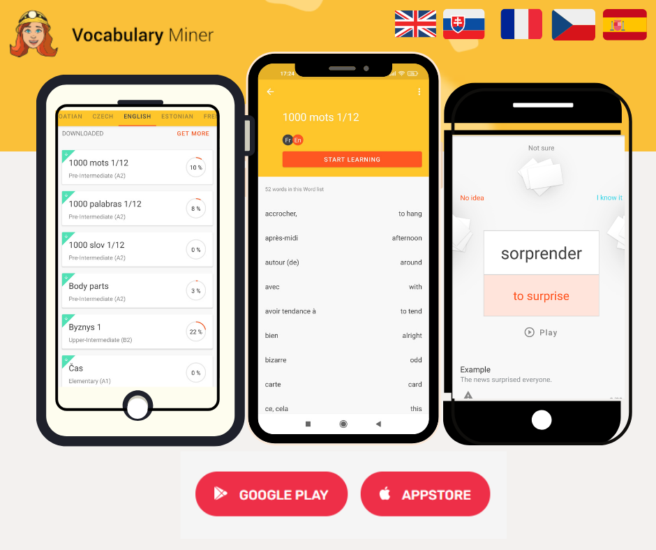 learning 1000 words in a foreign language with Vocabulary Miner might be the best way to learn a language