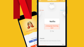 Learn language with Netflix and remember with Flashcards